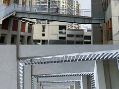 -巴厘龙虾·榜首油焖大虾(洞庭·艺术洋房店)