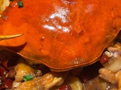 招牌肉蟹煲-胖哥俩肉蟹煲(龙德广场店)