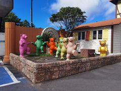 -济州岛泰迪熊博物馆