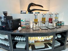 -虹桥机场国航贵宾室v8