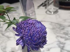-杭州君悦酒店·湖滨28中餐厅