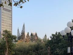 -荔枝公园(福田区)
