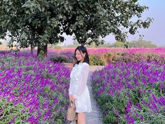 -汉长安城未央宫国家考古遗址公园