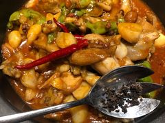 黑松露牛肝菌焖牛蛙-云海肴·汽锅鸡·云南菜(美罗城店)