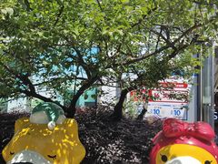 -苏宁易购(上海沪太路二店)