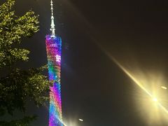 -广宁炭炉鸡煲·富临门饭店