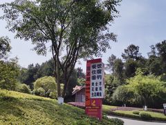 -铁山坪森林公园