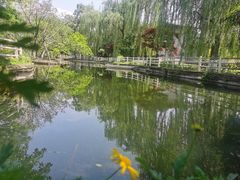 -塔子山公园