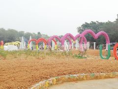 -松山湖梦幻百花洲