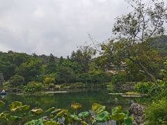 -杭州花家山庄