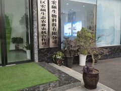 -大通湖