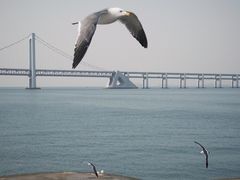 -星海广场