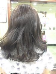 -CE·专业蛋白•羽毛接发·潮色烫染品牌店