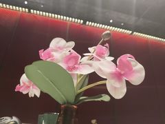 -大鸭梨烤鸭(望京店)