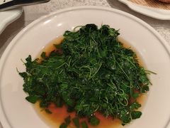 -新南华大酒店(长寿店)