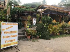 -Jungle Kitchen