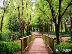 -新江湾城公园