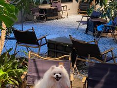 -J Create城市露营咖啡·简餐·宠物(上海动物园店)