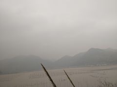 -北岐滩涂