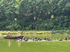 -广州长隆飞鸟乐园