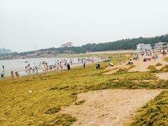 -青岛第二海水浴场