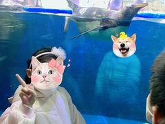 -华夏文旅海洋公园