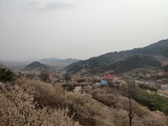 -葛子涧农家宴