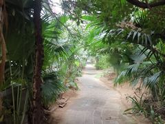 -呀路古热带植物园