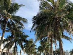 -玫瑰海岸文化旅游度假区