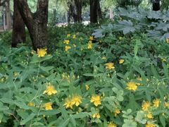 -苏州河梦清园环保主题公园