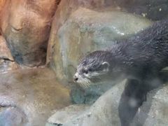 -福州罗源湾海洋世界旅游区