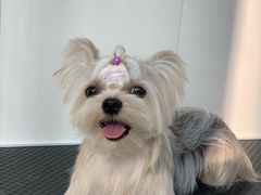 -北京恒爱动物医院(清景园分院)