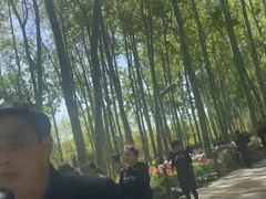 -仁和公园(顺义区)