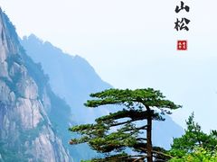 -黄山风景区