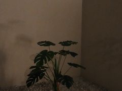 -六朝博物馆