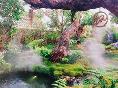 -Chom Cafe and Restaurant