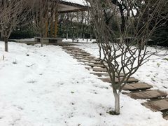 -荆川公园