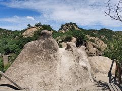 -大岭沟猕猴桃谷风景区
