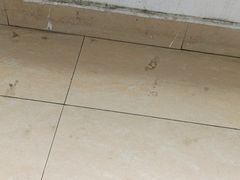 -小厨娘淮扬菜(板桥一店)