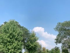 -南京枫彩漫城