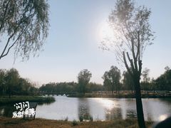 -东郊湿地公园
