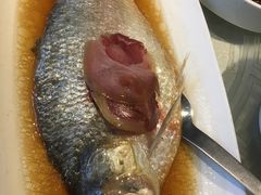 酒糟鲥鱼-走马楼饭庄(慈城古县城店)