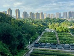 -重庆彩云湖湿地公园