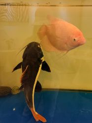 -FUMEIHUI·科技美肤·美体SPA