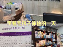 -宠爱国际动物医院·消化内科·心肾内科·ISFM猫友好(望京店)