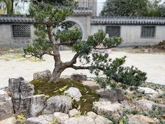 -怡园·园林私房菜