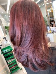 -潘多拉Hairsalon