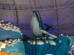 -烟台海昌鲸鲨海洋公园