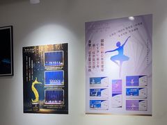 -中央芭蕾舞团·中芭艺蕾(酒仙桥明星校区)