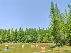 -黄海国家森林公园